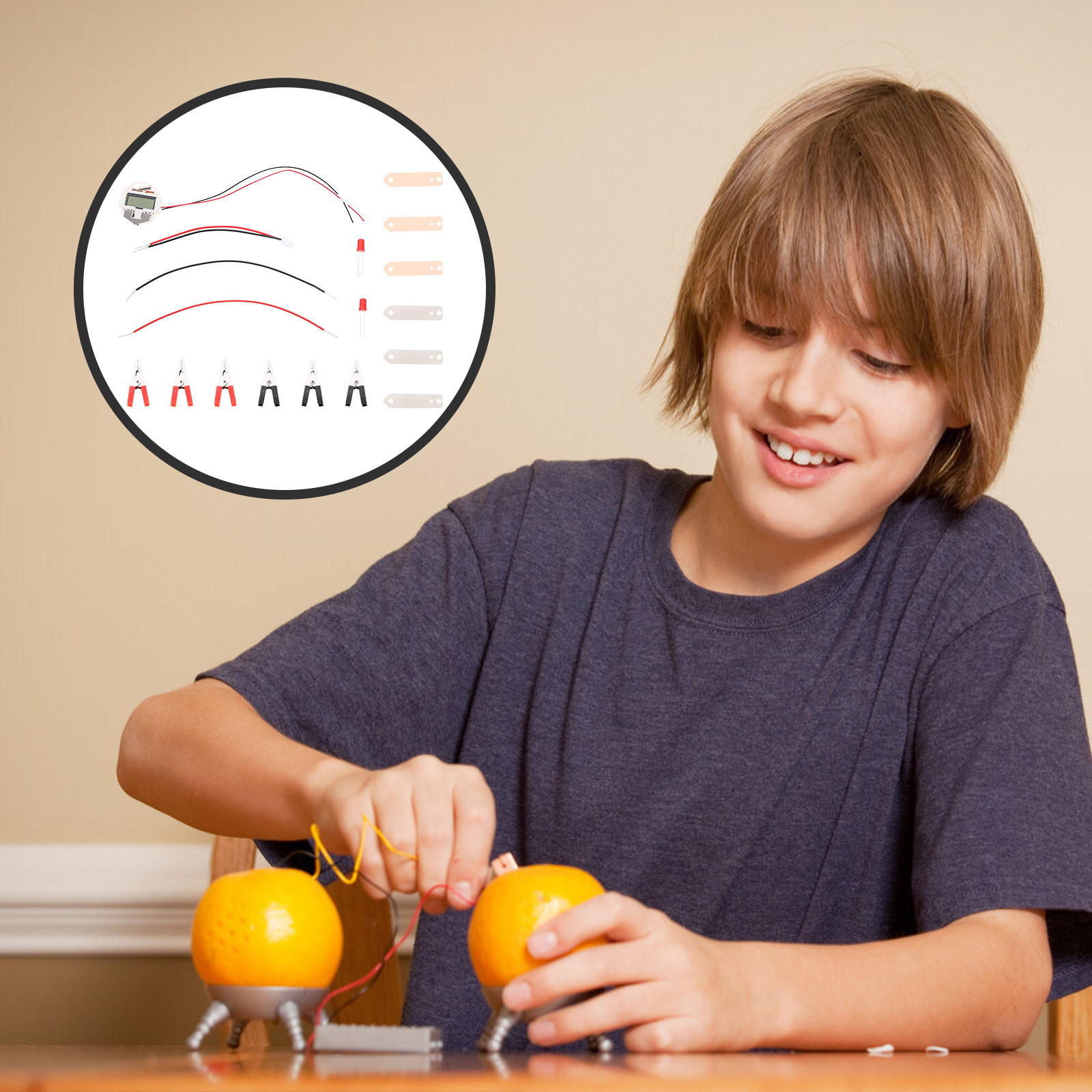 2Sets Fruitbatterij Experiment - Science Project Physics recensie en prijs